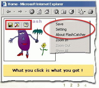 Flash Catcher Screenshot